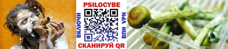 Галлюциногенные грибы мухоморы Качканар