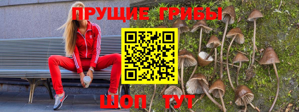 Псилоцибиновые грибы MAGIC MUSHROOMS  Вход с VPN  Качканар 